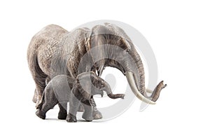 Elephant family on white
