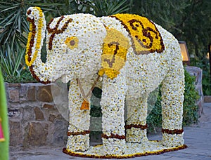 Elephant of flowers