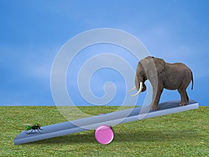 Elephant and fly on a seesaw photo