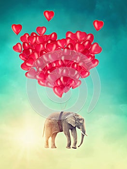 Elephant flying with balloons