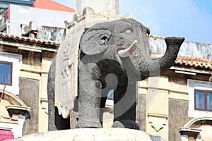 Elephant Fountain in Catania, Sicily, Italy photo