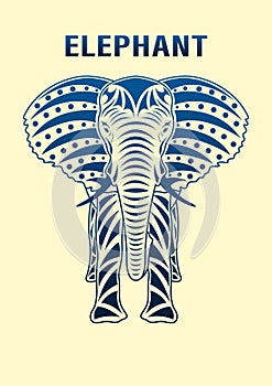 Elephant front view, isolated