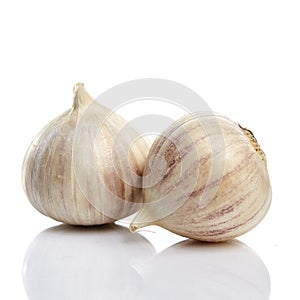 Elephant Garlic Allium ampeloprasum, garlic variety