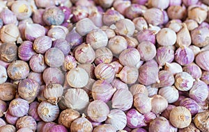 Elephant garlic  meat, fresh garlic in the market table. Close-up photo. Vitamins, healthy food, spices. Image of spicy cooking