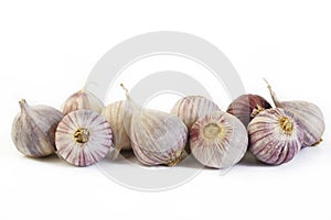 Elephant garlic on white background