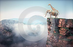 Elephant and giraffe sitting on edge of a cliff and admiring the mountain landscape