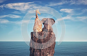 Elephant and a giraffe sitting on a rock