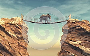 An elephant goes on a wooden bridge