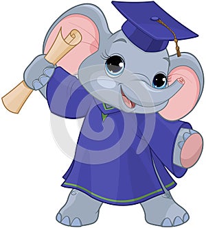 Elephant Graduates