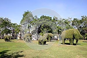 Elephant Grass Sculptures at Ayutthaya, Thailand