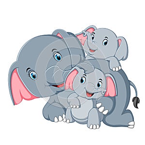 An elephant have fun play with their family