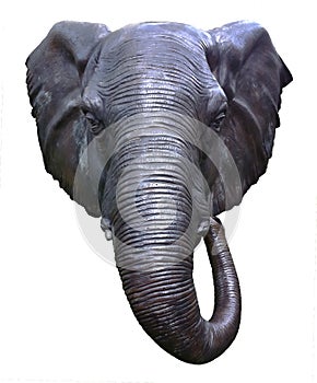 Elephant head