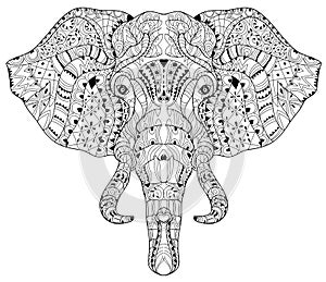 Elephant head doodle on white vector sketch.