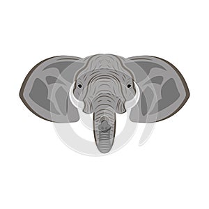 Elephant head with ears, trunk and tusks, animal portrait as a mascot or safari trophy