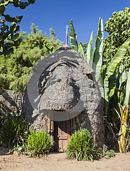 Elephant head like traditional Dorze house. Hayzo village, Omo V