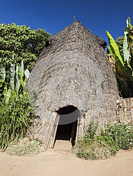 Elephant head like traditional Dorze house. Hayzo village, Omo V