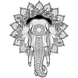 Elephant head on lotus mandala. Popular motiff in Asian arts and crafts. Intricate hand drawing isolated on white