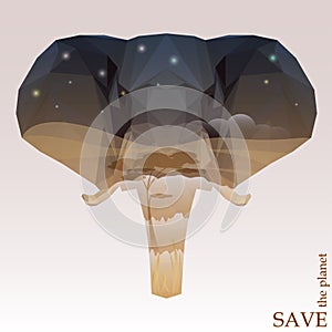 Elephant head with night Savannah view. concept illustration on the theme of protection of nature and animals