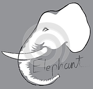 Elephant head symbol, logo, sign cartoon art line design