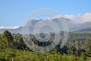 Elephant Hill in the Aberdare Ranges, Kenya