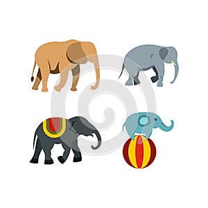 Elephant icon set, flat style