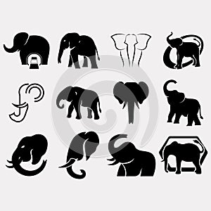 Elephant icon set