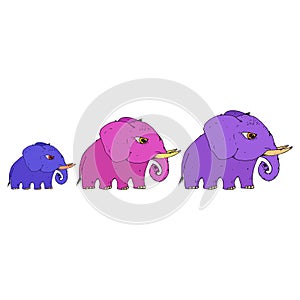 Elephant icon. Vector illustration of three cartoon baby elephant. Hand drawn set cute elephant