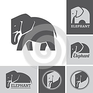 Elephant icons and symbols