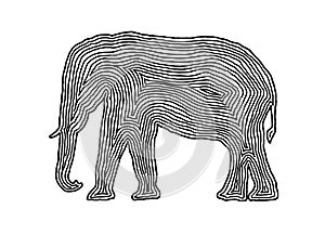 A elephant illustration icon in black offset line. Fingerprint s