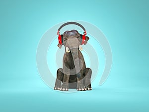 Elephant listening music