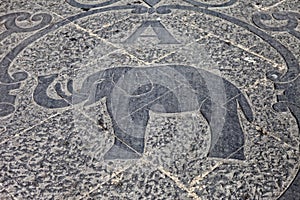 Elephant logo photo