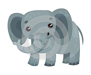 Elephant with Long Trunk as African Animal Vector Illustration