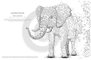 Elephant low poly gray