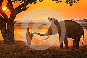 Elephant made merit a monk`s bowl. Thai people and elephant jointly give alm to monk. elephant and Monk in forest. vintage style.
