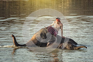 Elephant and mahout