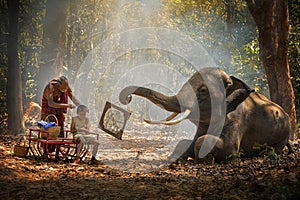 Elephant mahout portrait. Grandfather was cutting his nephew with an elephant holding a mirror. vintage style. The activities at