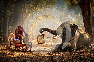 Elephant mahout portrait. Grandfather was cutting his nephew with an elephant holding a mirror. vintage style. The activities at photo