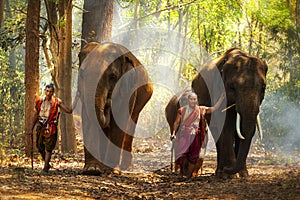 Elephant mahout portrait. The Kuy Kui People of Thailand. Elephant Ritual Making or Wild Elephant Catching. The mahout and the