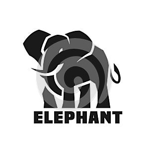 Elephant. Monochrome logo. photo