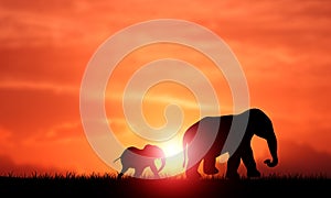 Elephant Mother with Her baby Silhouette Walking at sunset