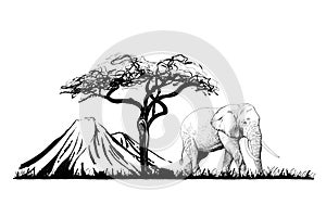 Elephant near a tree on mount background. Hand drawn illustration. Collection of hand drawn illustrations