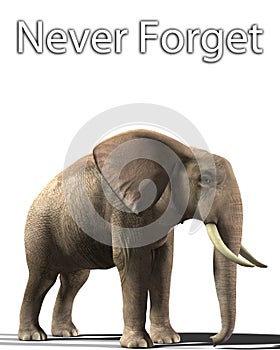 Elephant That Never Forgets