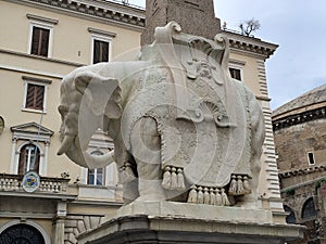 Detail, Elephant and Obelisk, Obelisco della Minerva, Piazza del Minerva, Rome, Italy photo