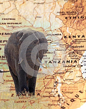 Elephant overlying a vintage map of Tanzania