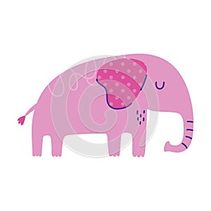Elephant pachyderm animal cartoon doodle color photo