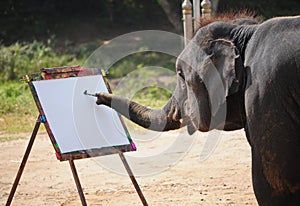 Elephant and painting