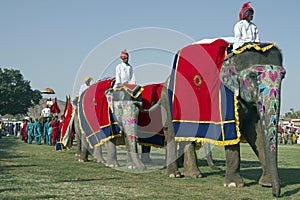 Elephant Parade