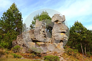 Elephant in the piedras encimadas in zacatlan, puebla. I