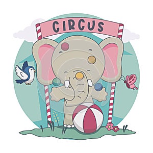 Elephant playing ball in the circus. With Bird, butterfly illustration