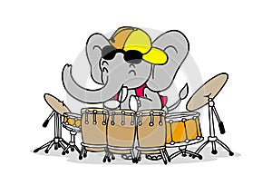 Elephant playing percussion drums